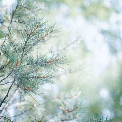 “中园石化”加油站被立案调查