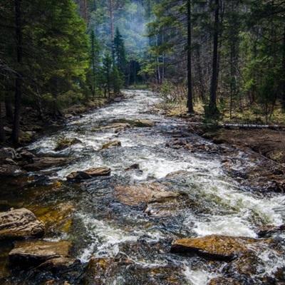 张雪峰追悼会周六将在苏州殡仪馆举行